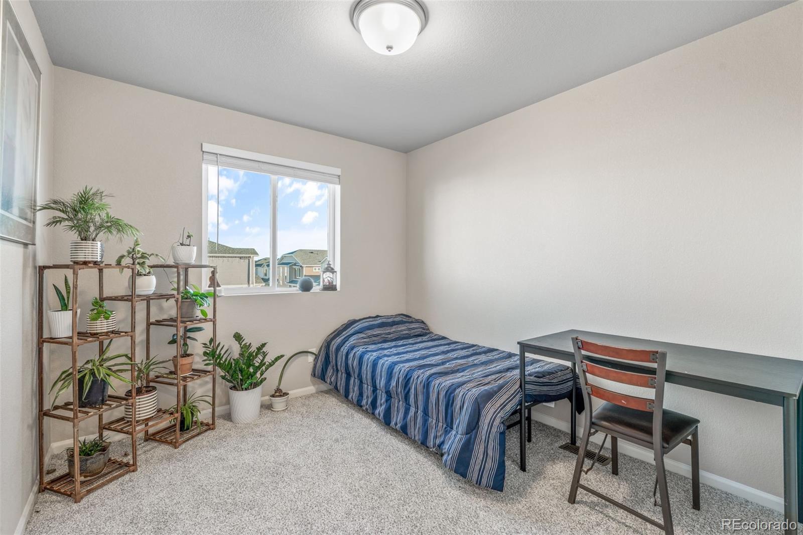 5784 Dakan Loop Colorado Springs, CO 80927 - Photo 18 of 22