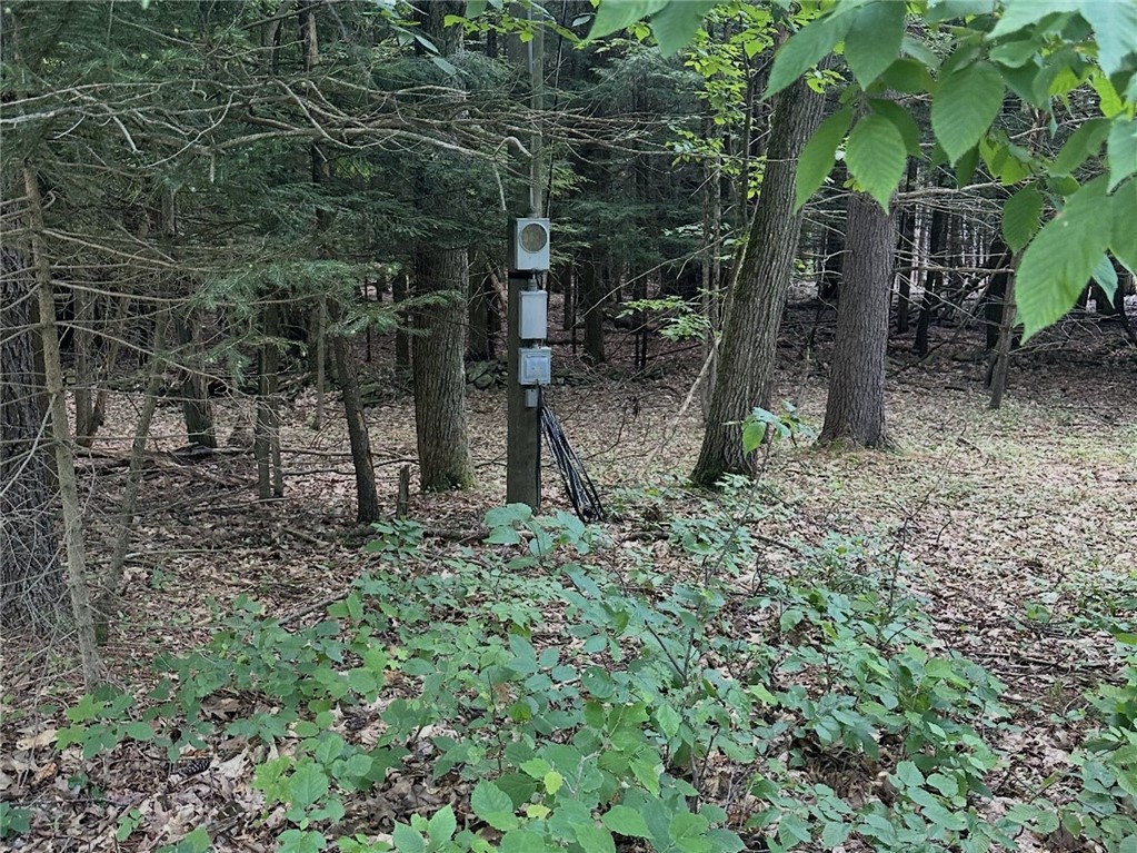 Deer Path Stamford, NY 12167 - Photo 3 of 7