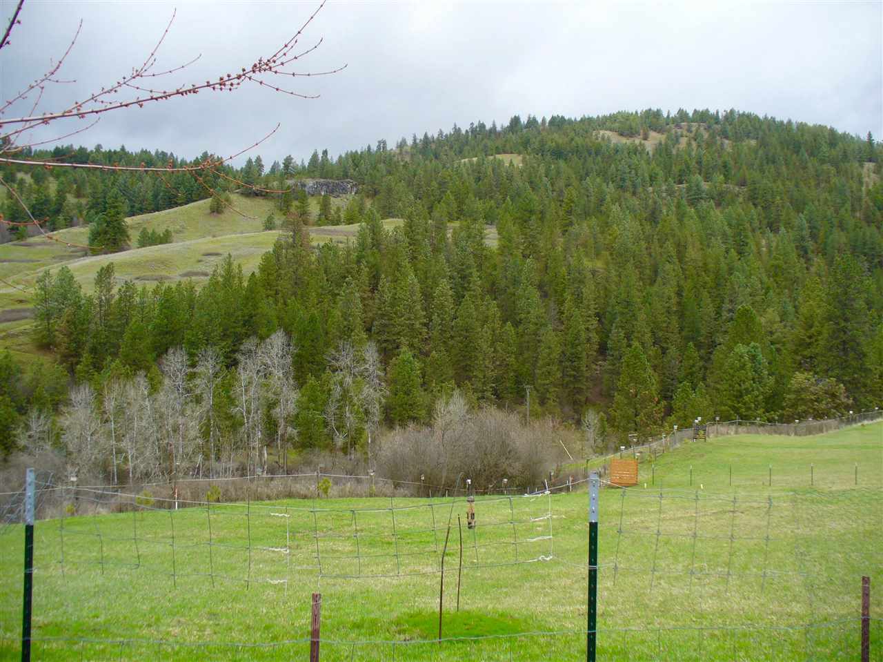 942 Mission Lake Road Kettle Falls, WA 99141 - Photo 19 of 20 Gallery Image 19