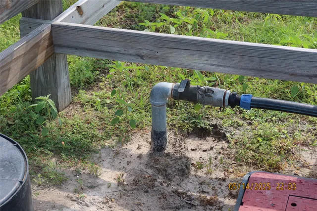 a front view of a garden with plants