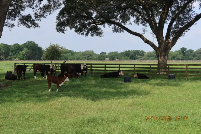 a view of an outdoor space and yard