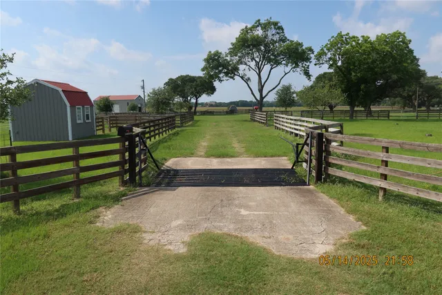 a view of a park with large trees
