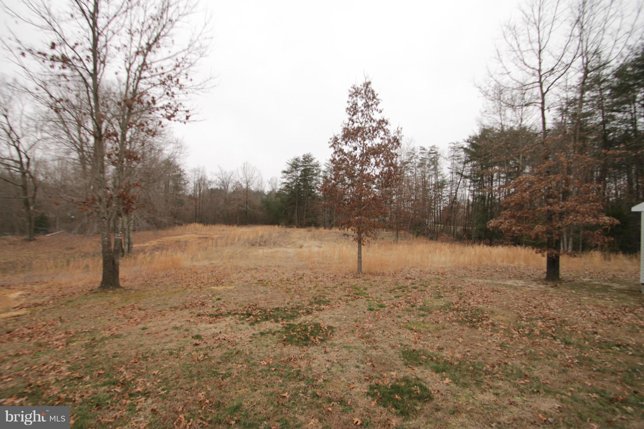 2324 Partlow Road Beaverdam, VA 23015 - Photo 5 of 27 a view of a yard with a tree