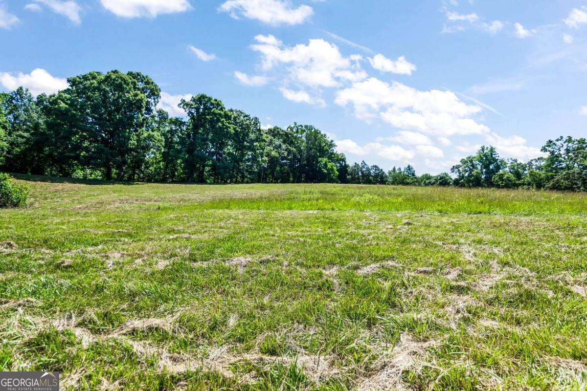 773 Fairview Road Jasper, GA 30143 - Photo 24 of 73