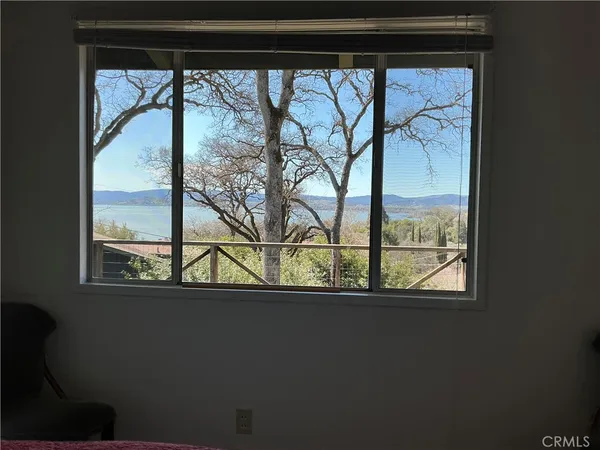 a view of trees from a window