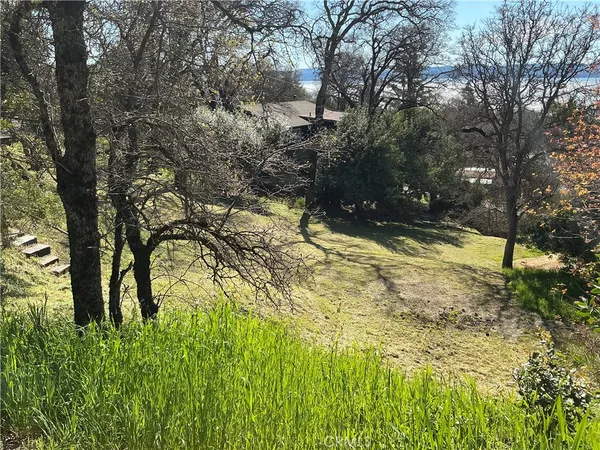 a view of yard along with trees