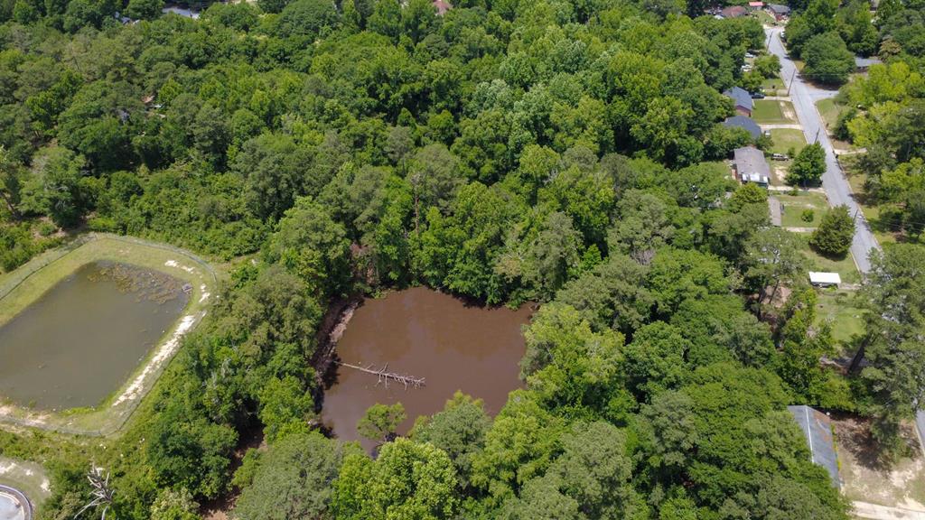 4935 Buena Vista Road Columbus, GA 31907 - Photo 22 of 24 an aerial view of a house with a yard and outdoor seating