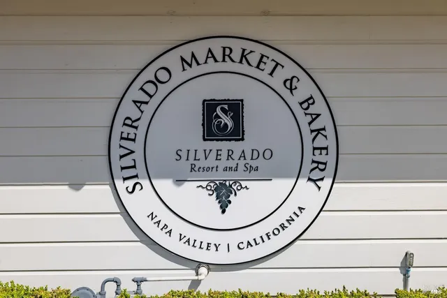 a view of a park with palm trees