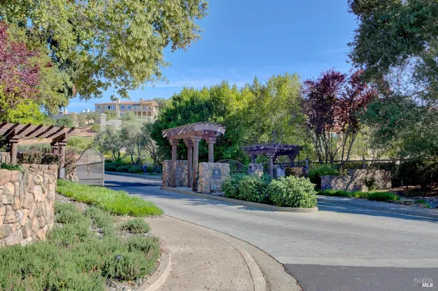 a view of a park with large trees