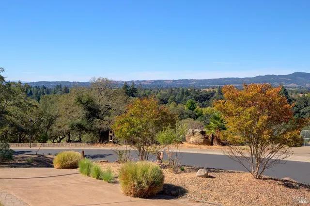 a view of a road with a tree in the background