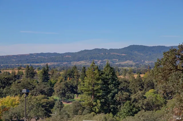 a view of a dry yard with trees
