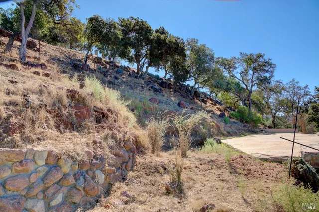 a view of a dry yard with trees