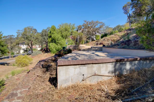a view of a dry yard with trees