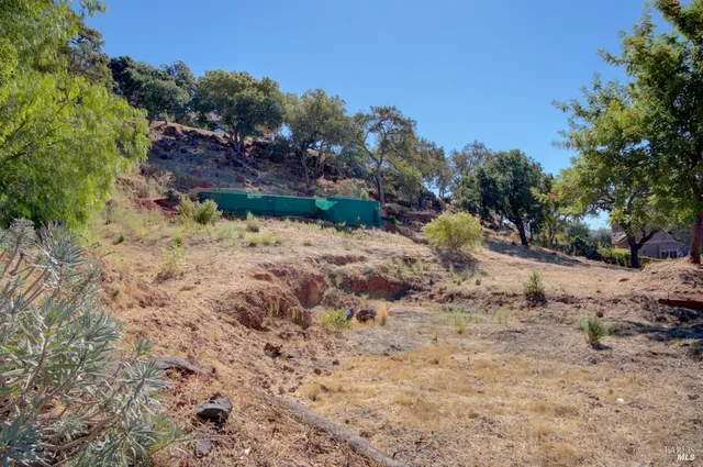a view of a dry yard with trees