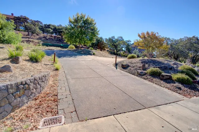 a view of a yard with a tree