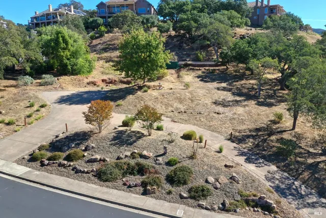 a view of a yard with a tree