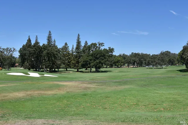 a view of a grassy field with trees