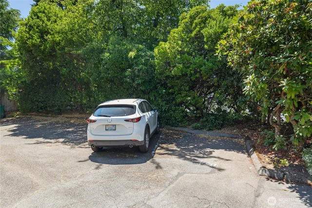 a car parked in the middle of a forest