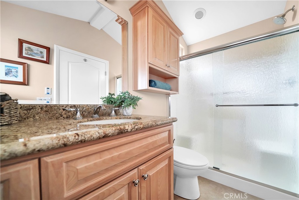 33631 Marlinspike Drive Dana Point, CA 92629 - Photo 24 of 39 a bathroom with a granite countertop sink a toilet and shower
