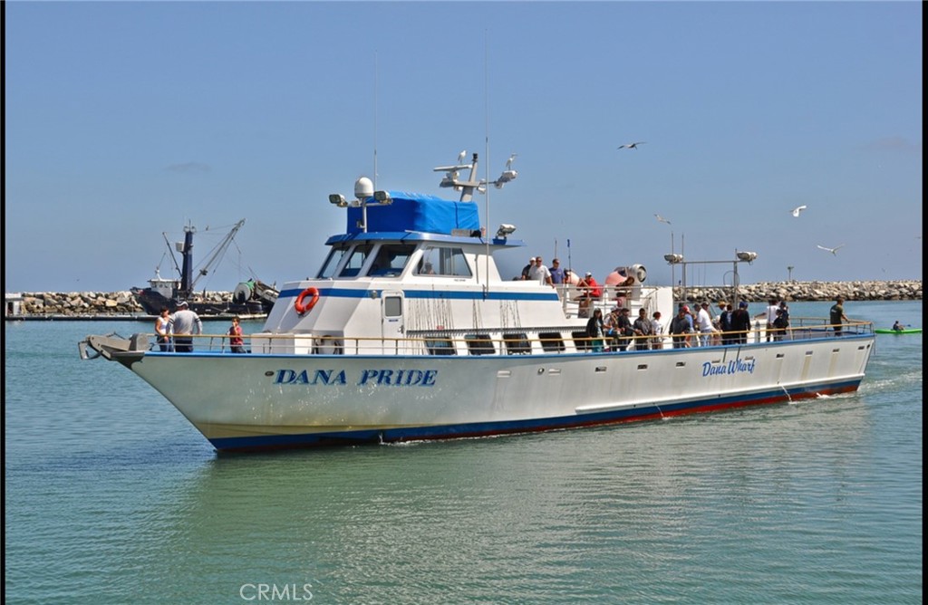 33631 Marlinspike Drive Dana Point, CA 92629 - Photo 35 of 39 a view of a swimming pool