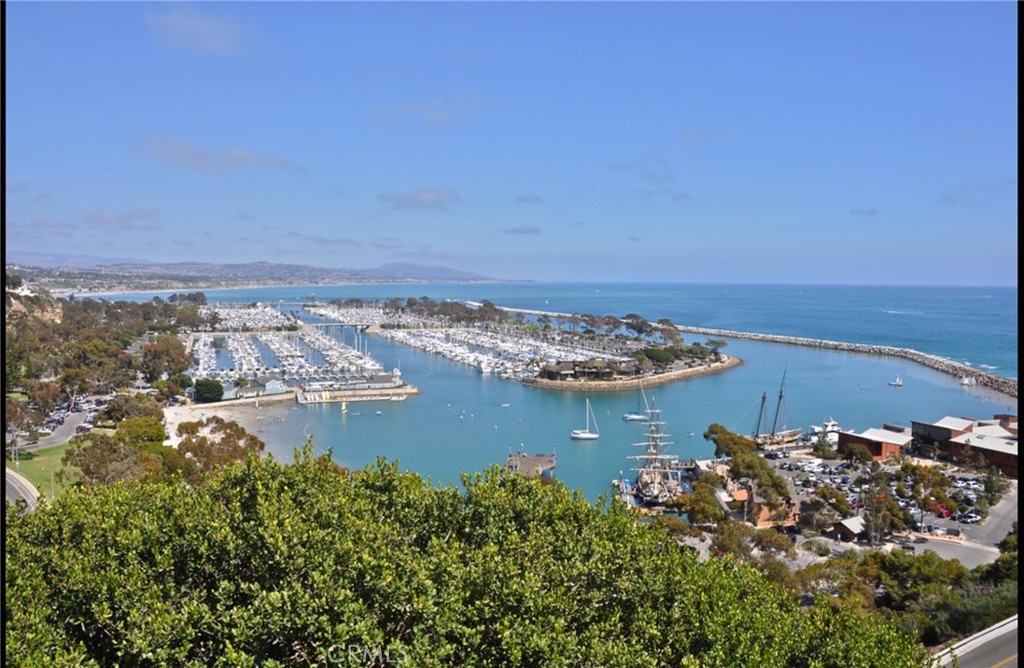 33631 Marlinspike Drive Dana Point, CA 92629 - Photo 39 of 39 an aerial view of ocean residential house with outdoor space and trees around