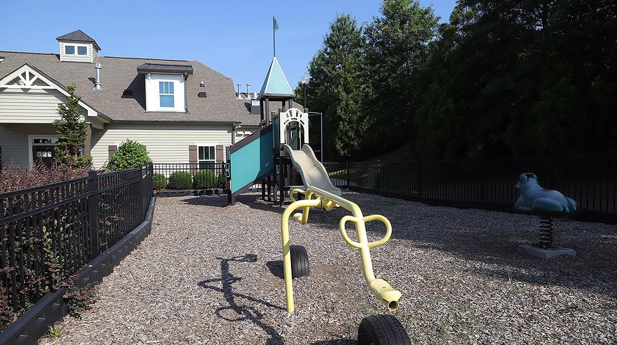7524 Oakberry Drive Raleigh, NC 27616 - Photo 21 of 22 Play Structure