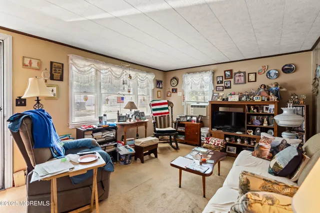 a living room with furniture a rug and a floor to ceiling window