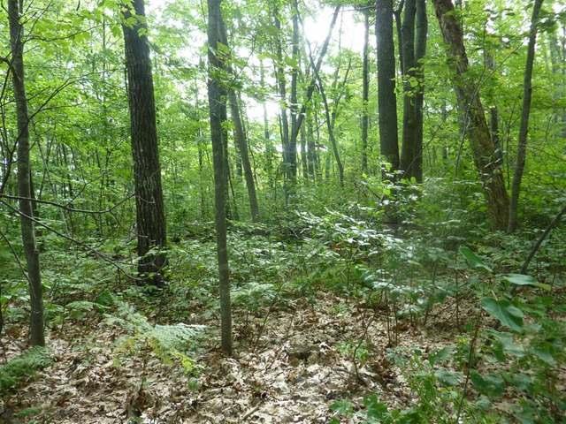 On Thorofare Road, Unit LOT 11 Minocqua, WI 54548 - Photo 18 of 19 Gallery Image 18