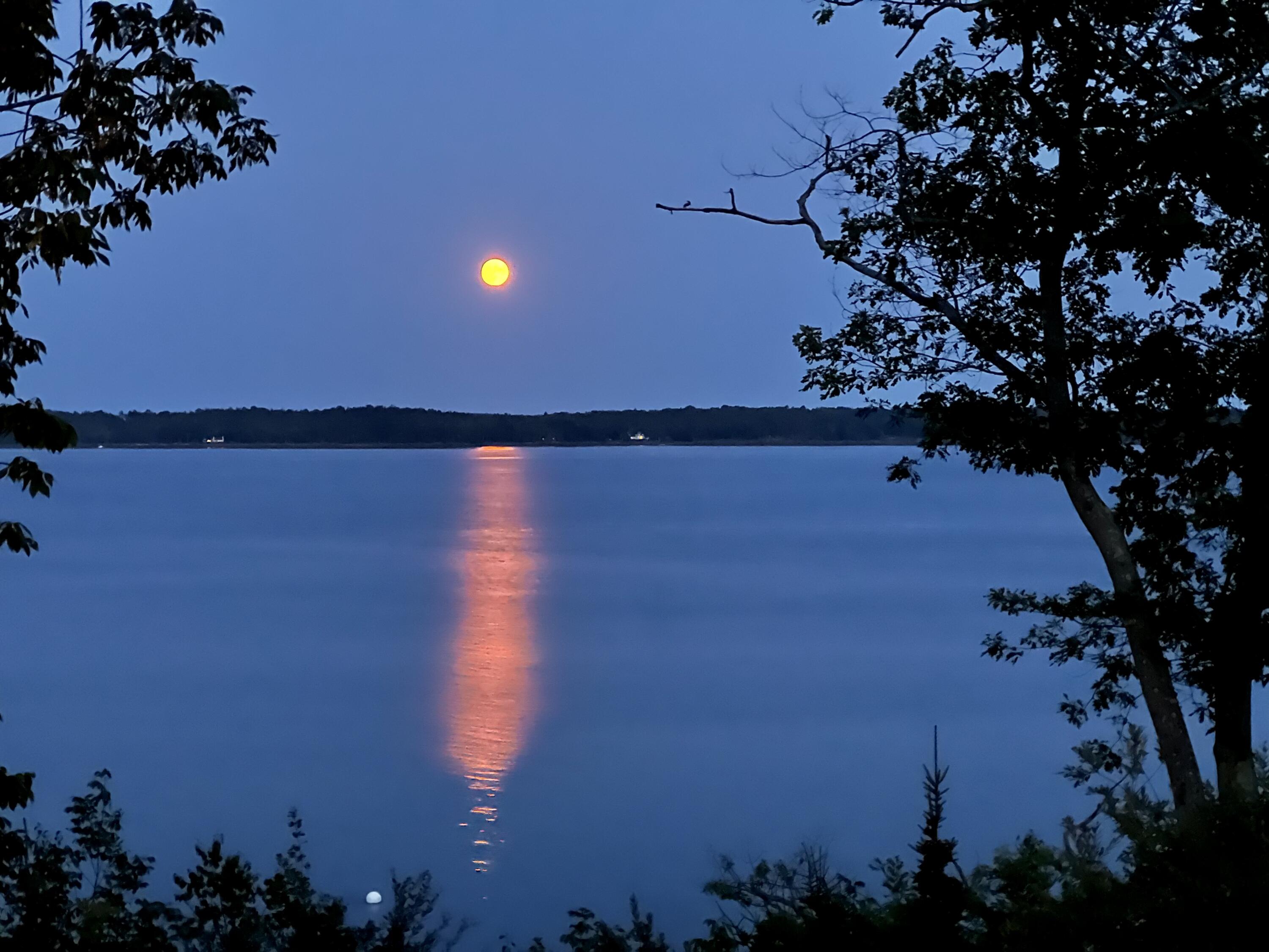 364 Shore Road Northport, ME 04849 - Photo 101 of 106 E5BF0DA8-2DA1-4CF9-AD54-536A8EA3D137