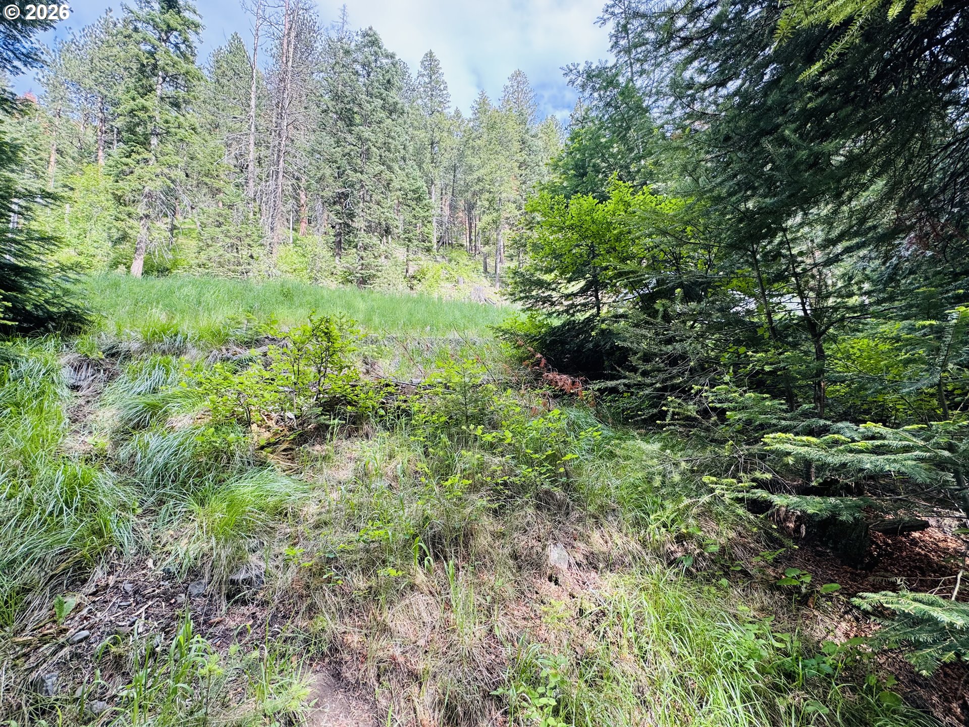 0 Forest Dell Road Joseph, OR 97846 - Photo 17 of 18