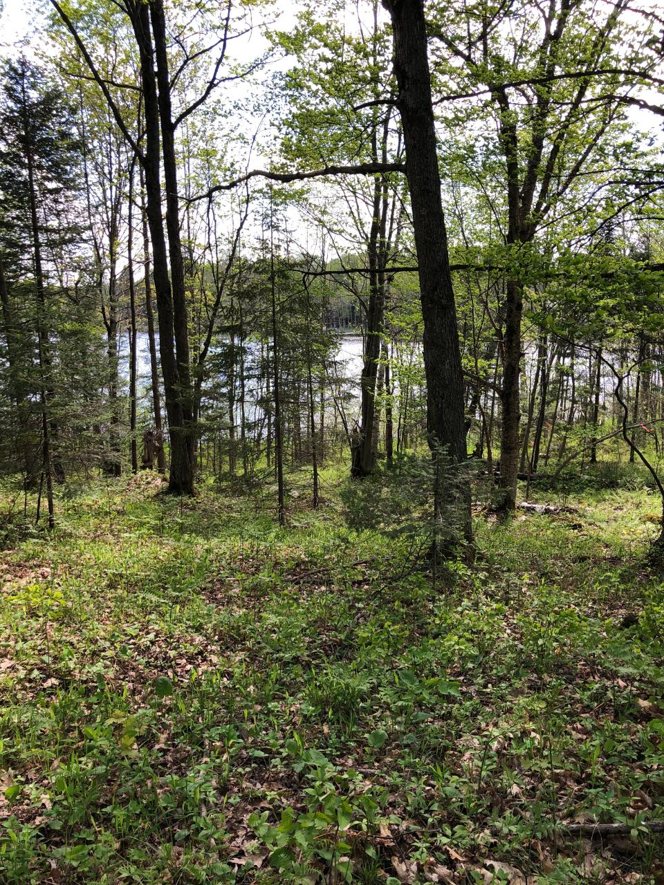 Lot 2 Kling Road Presque Isle, WI 54557 - Photo 15 of 18 Gallery Image 15