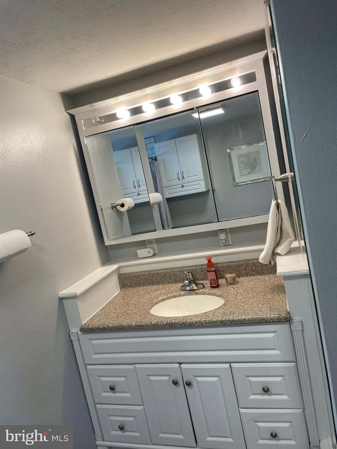 46 West Governor Road Hershey, PA 17033 - Photo 4 of 17