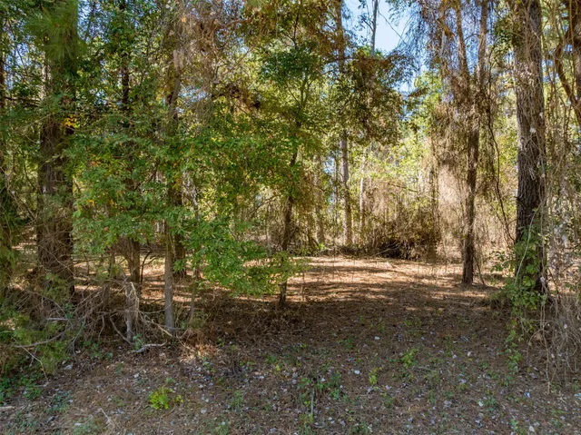 $90,000 | 0 Pintail Drive, Flint, TX 75762