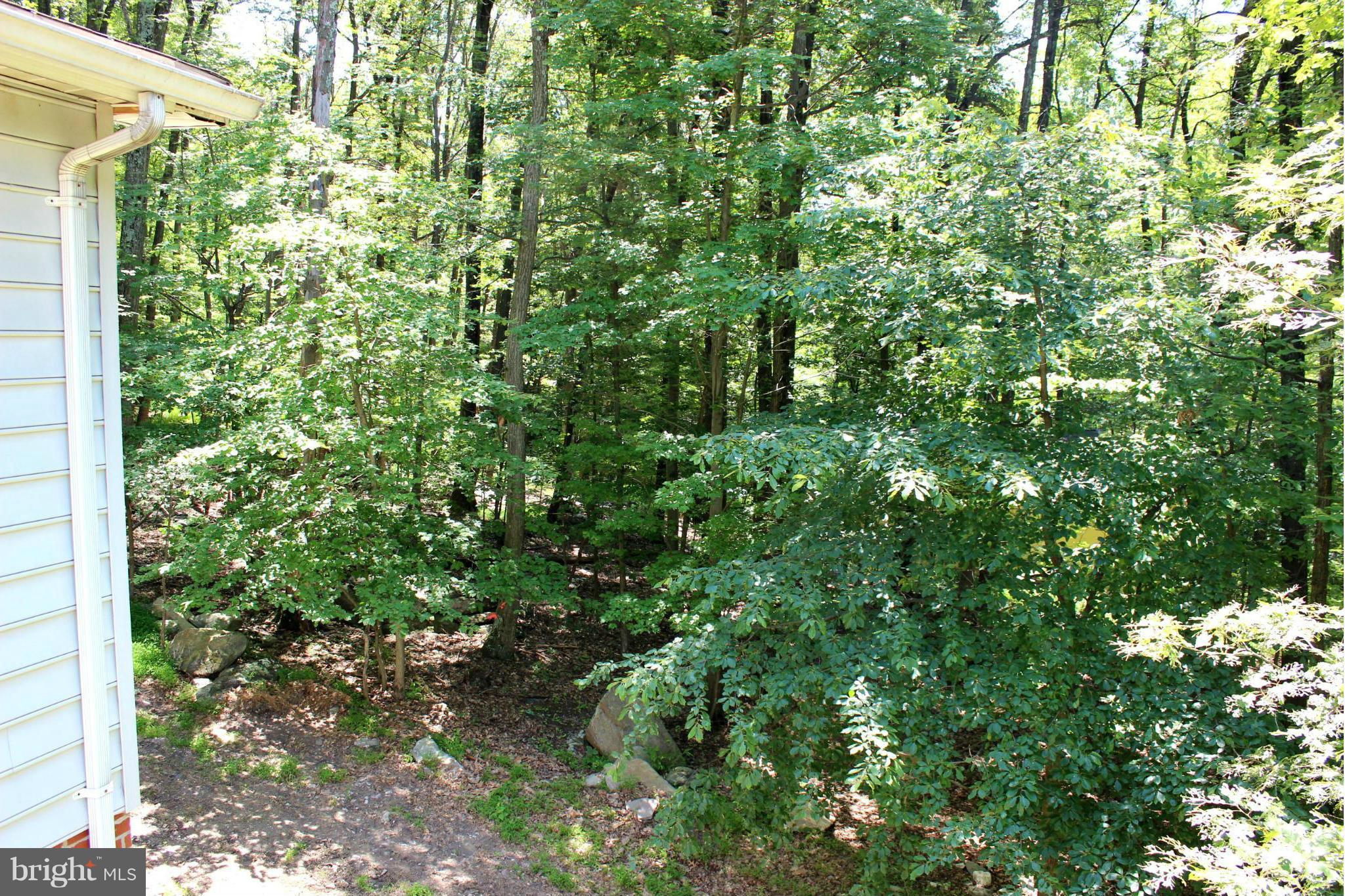 376 Highview Road Harpers Ferry, WV 25425 - Photo 20 of 22 Wooded Side Yard