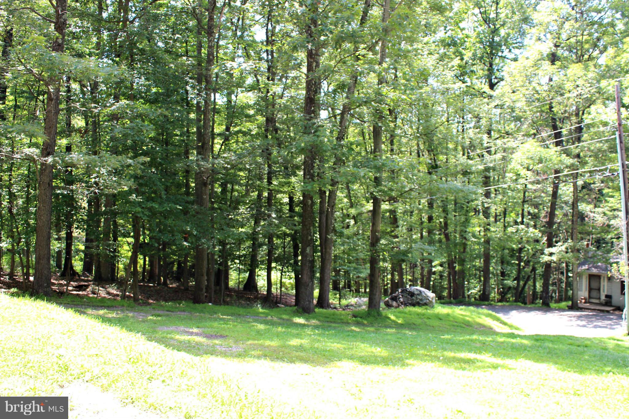 376 Highview Road Harpers Ferry, WV 25425 - Photo 21 of 22 Wooded Yard for Privacy