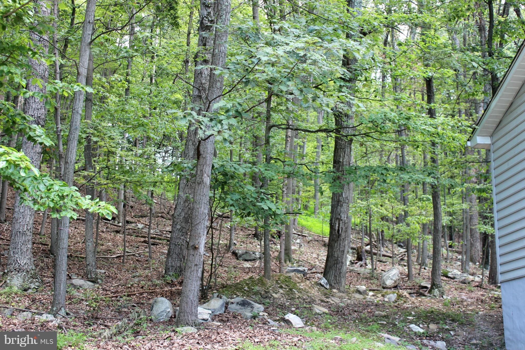 376 Highview Road Harpers Ferry, WV 25425 - Photo 22 of 22 Wooded and Mountain Back Yard
