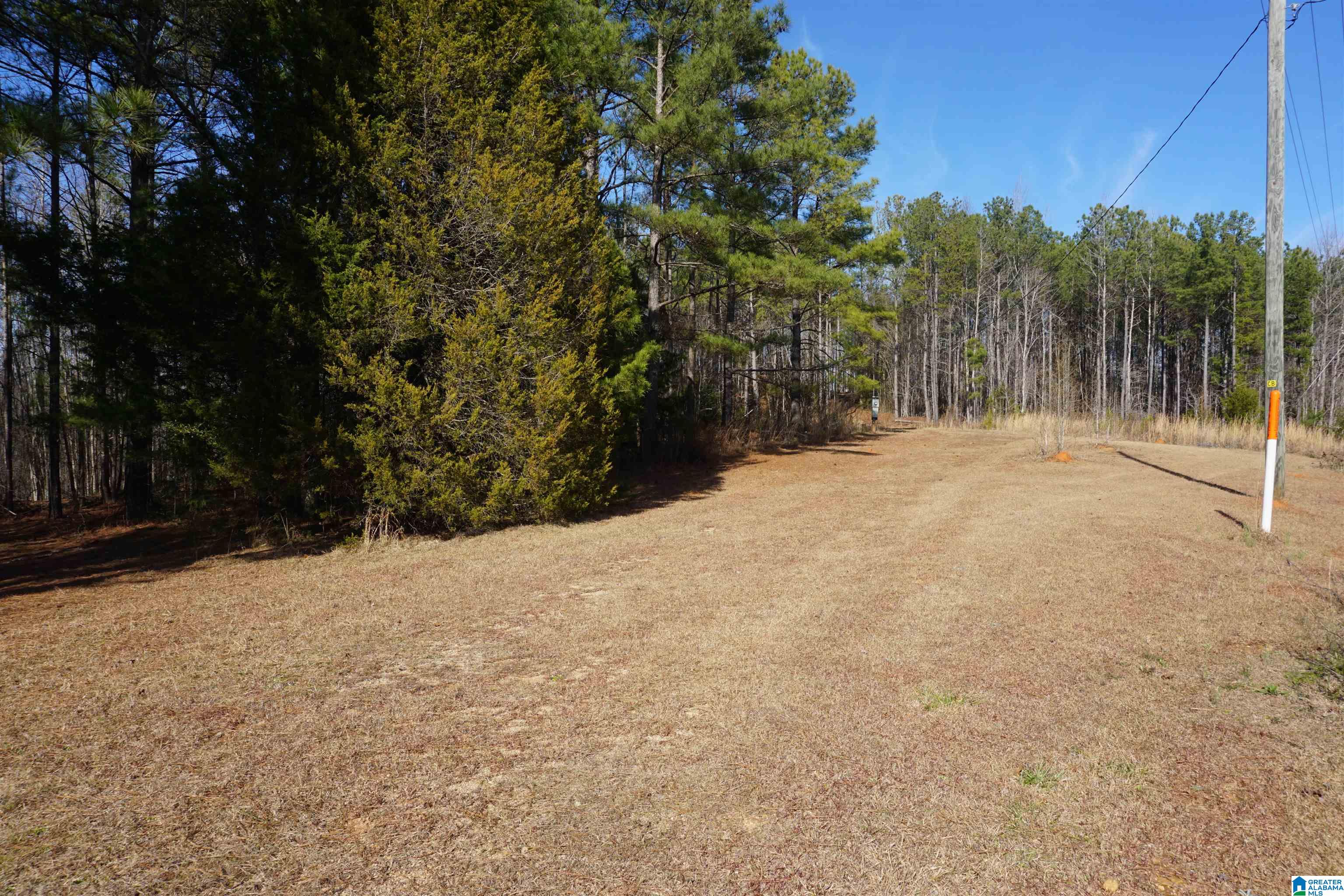 256 County Road, Unit 1 Wedowee, AL 36278 - Photo 2 of 3 Gallery Image 2