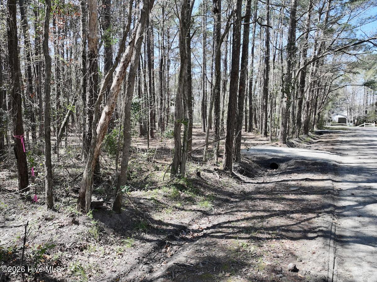 1 Creek Place Road Arapahoe, NC 28510 - Photo 19 of 28 19
