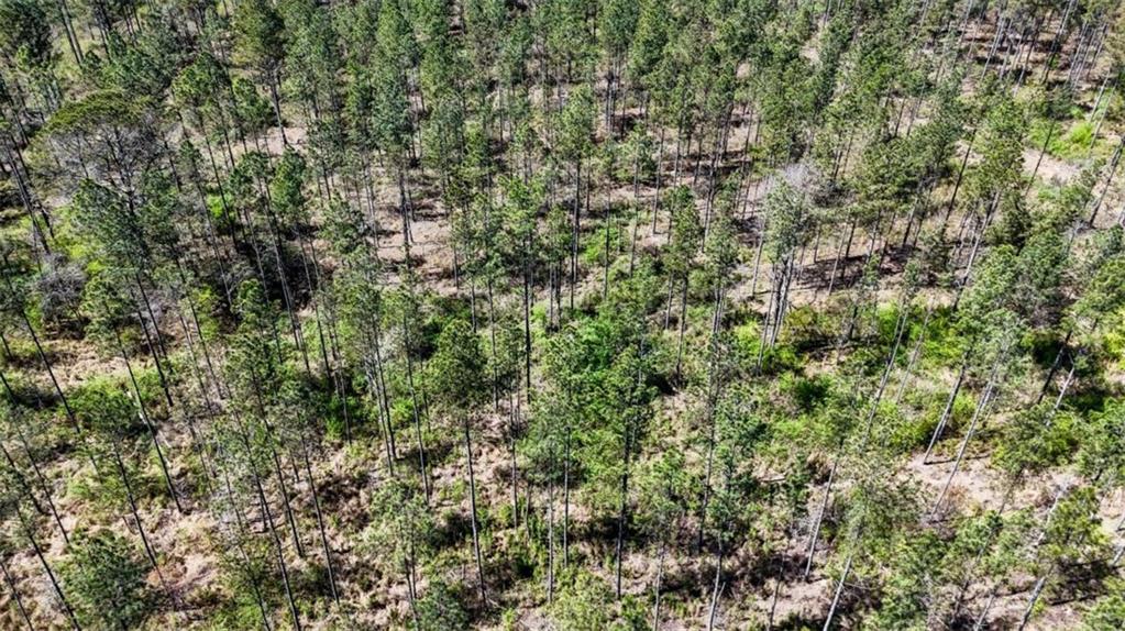 403-ac Youngs Farm Road Cedartown, GA 30125 - Photo 15 of 15