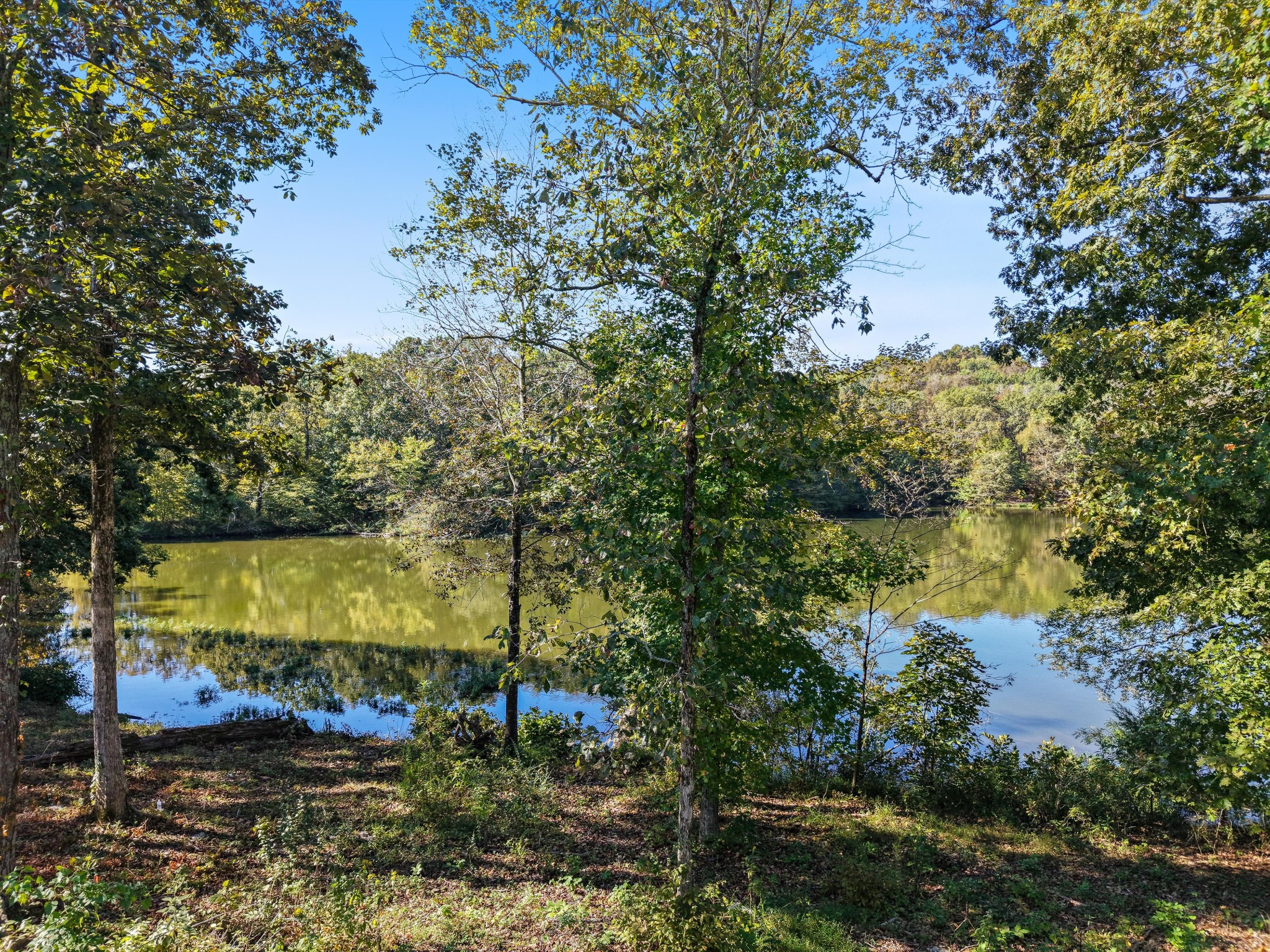 403 Zephyr Cove Lebanon, TN 37087 - Photo 12 of 14