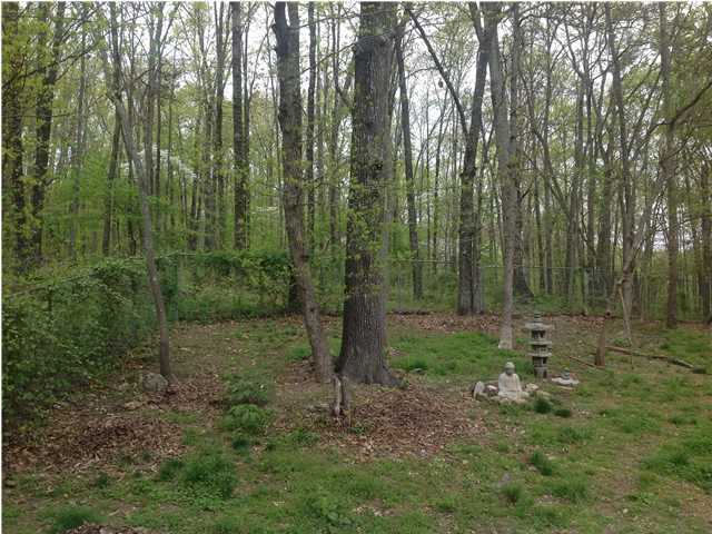 948 Baggett Road Ringgold, GA 30736 - Photo 2 of 2 Additional Photo