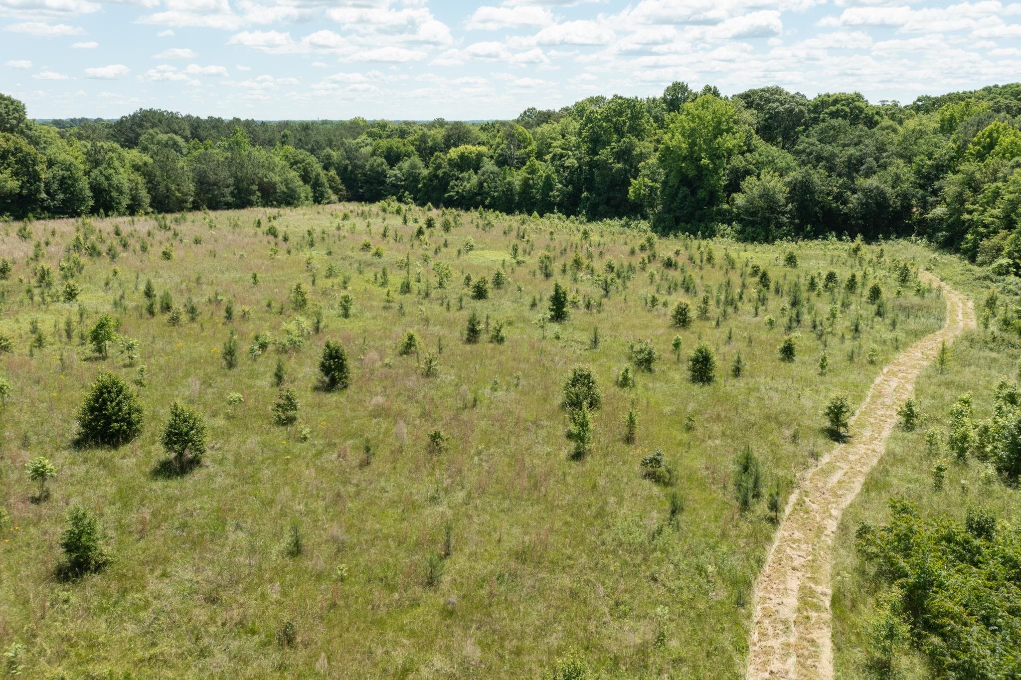 5831 Reidville Road Moore, SC 29369 - Photo 5 of 11