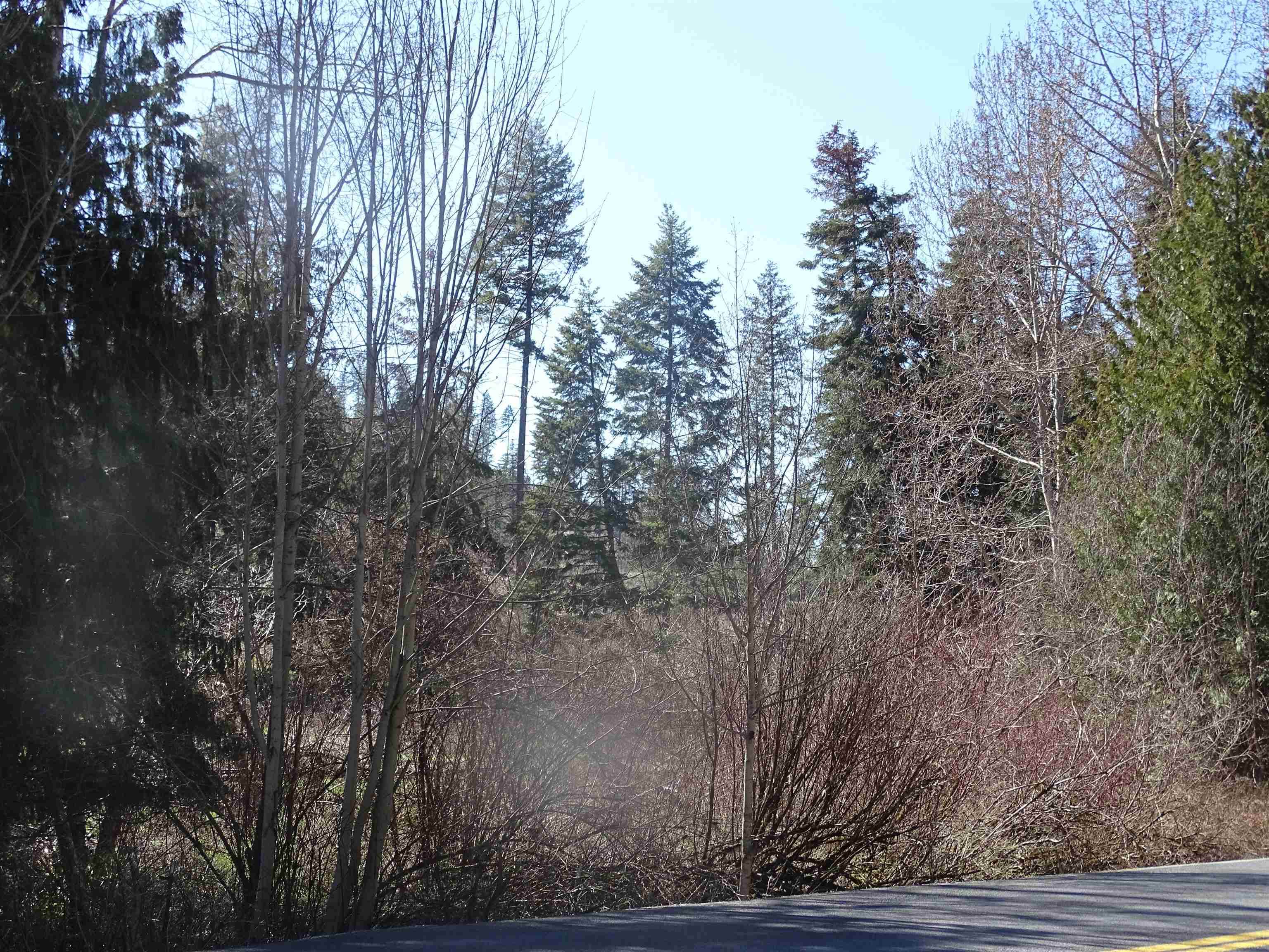 17208 East Blanchard Road Elk, WA 99009 - Photo 9 of 28