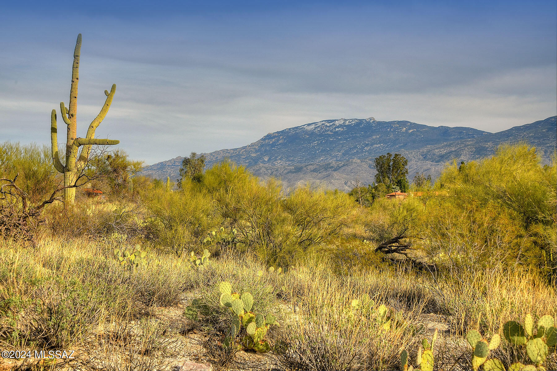 3010 North Deer Track Road Tucson, AZ 85749 - Photo 2 of 12 Gallery Image 2