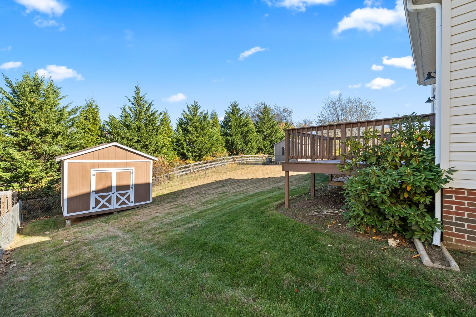 623 Bull Run Staunton, VA 24401 - Photo 40 of 62 back yard and shed