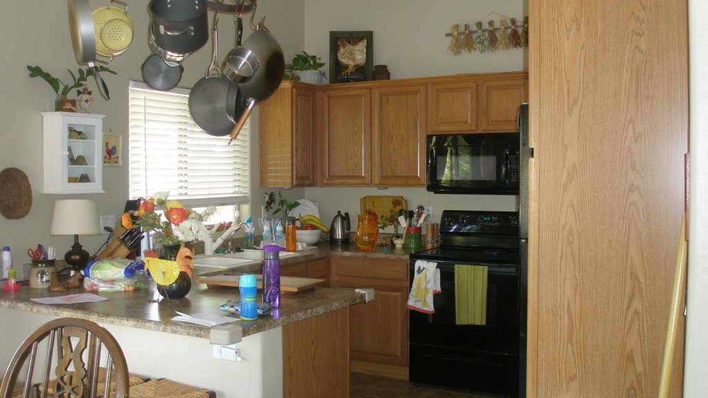 5366 West Pecan Road Laveen, AZ 85339 - Photo 4 of 8 Kitchen
