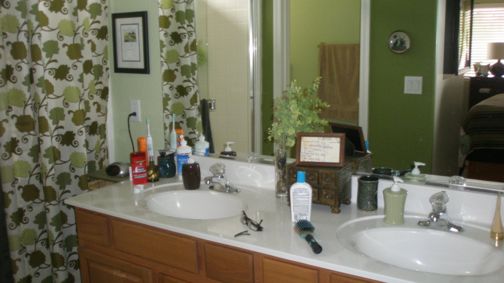 5366 West Pecan Road Laveen, AZ 85339 - Photo 8 of 8 Master Bath