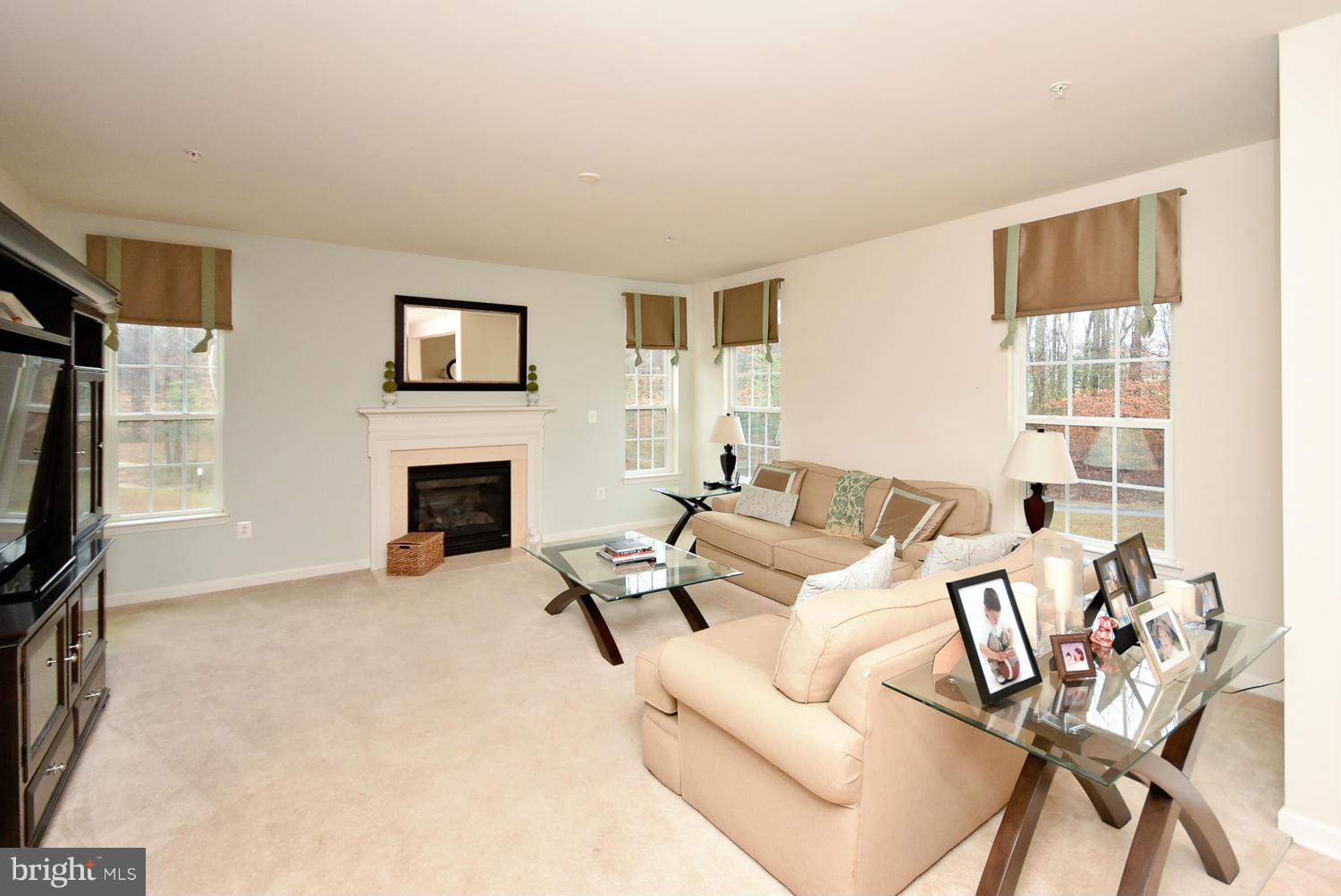 16311 Addison Patent Lane Accokeek, MD 20607 - Photo 14 of 30 Family Room