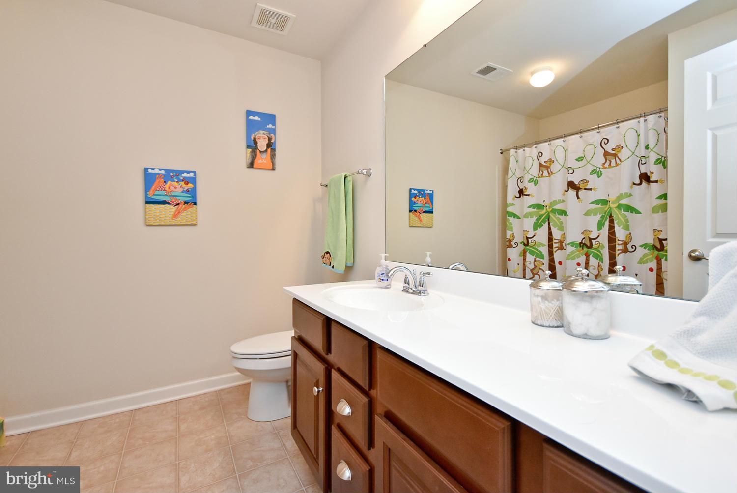 16311 Addison Patent Lane Accokeek, MD 20607 - Photo 20 of 30 Bath
