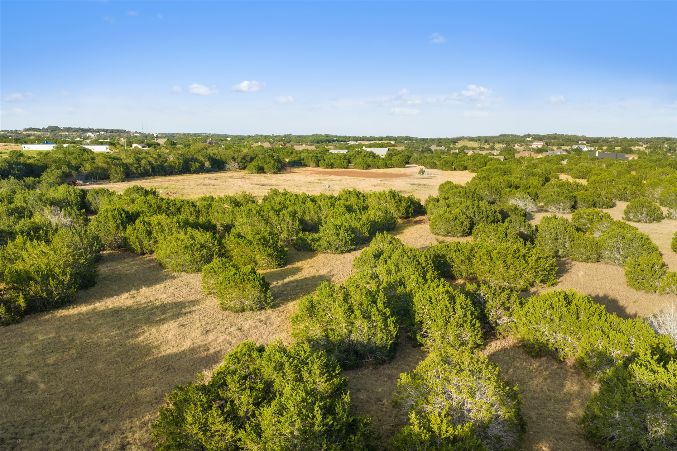 0 Hays Country Acres Road Dripping Springs, TX 78620 - Photo 22 of 33 Lush green trees dot the vast open landscape under a clear blue sky.